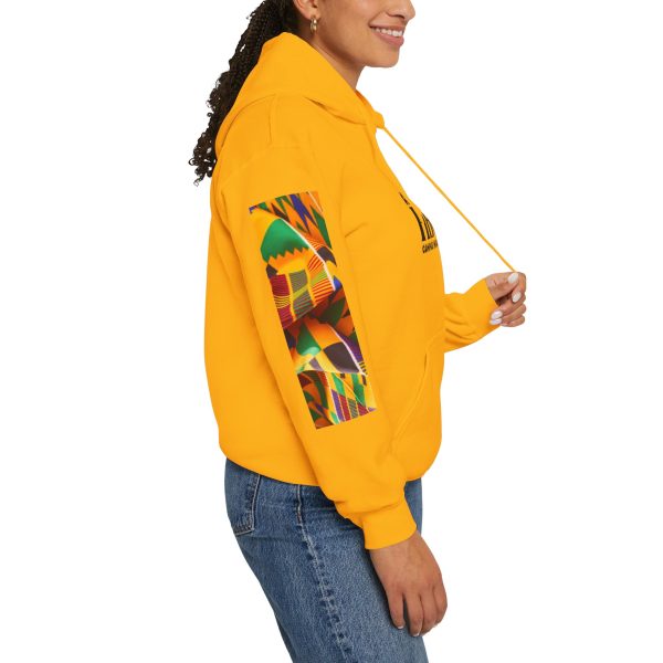 Afro Music HBCU Tour Hoodie - Image 11